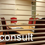 Consultancy